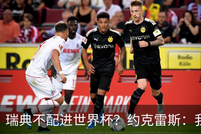 瑞典不配进世界杯？约克雷斯：我们凭实力进的，首战就5-1赢了